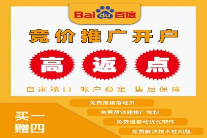 SEM服务案例：助力企业拓展海外市场